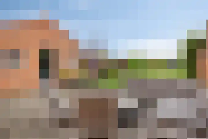 Hulsterweg 29 Kloosterzande thumbnail 23