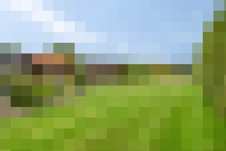 Hulsterweg 29 Kloosterzande thumbnail 24