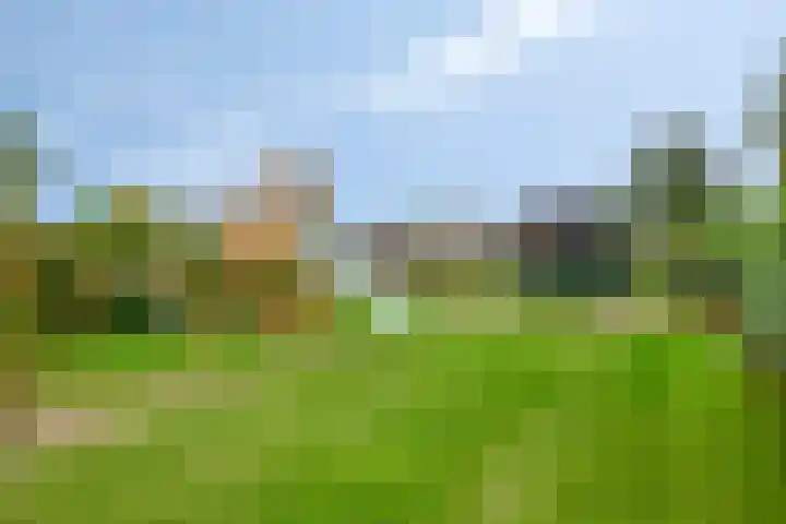 Hulsterweg 29 Kloosterzande thumbnail 25