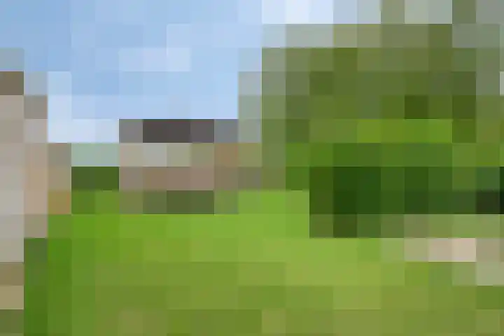 Hulsterweg 29 Kloosterzande thumbnail 26