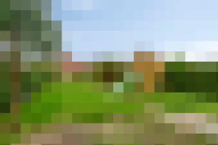 Hulsterweg 29 Kloosterzande thumbnail 27