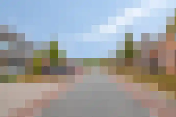 Hulsterweg 29 Kloosterzande thumbnail 28