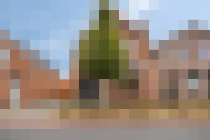 Hulsterweg 29 Kloosterzande thumbnail 29