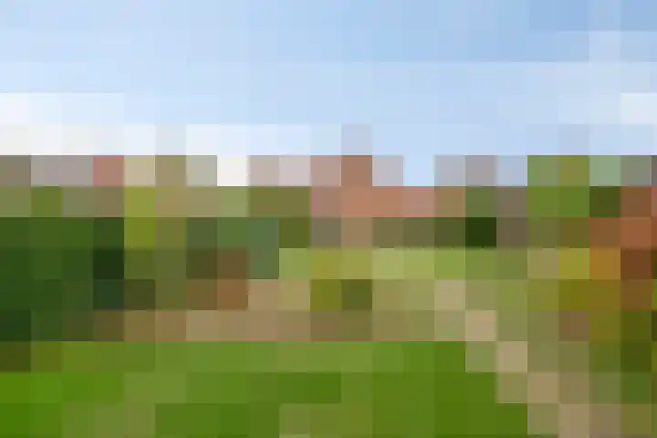 Hulsterweg 29 Kloosterzande thumbnail 5