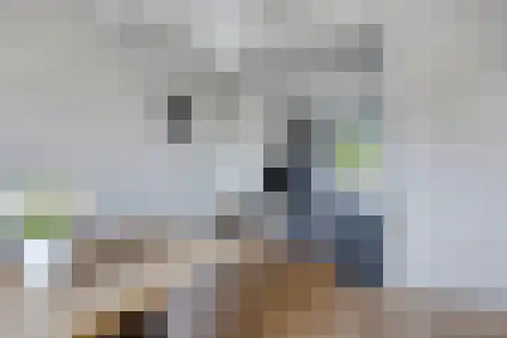 Hulsterweg 29 Kloosterzande thumbnail 9