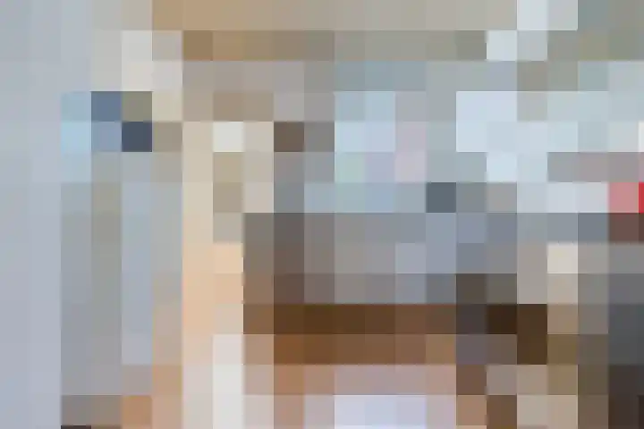Hulsterweg 33 Kloosterzande thumbnail 11
