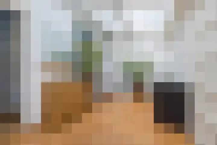 Hulsterweg 33 Kloosterzande thumbnail 12