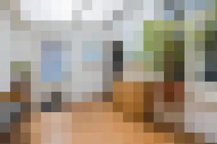 Hulsterweg 33 Kloosterzande thumbnail 13