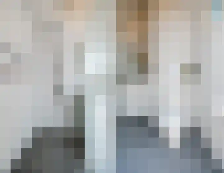 Hulsterweg 33 Kloosterzande thumbnail 15