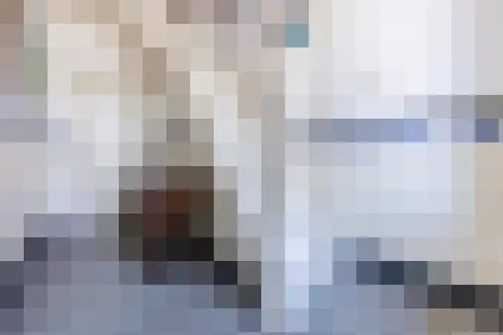 Hulsterweg 33 Kloosterzande thumbnail 16