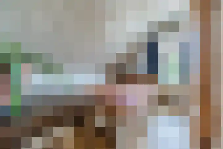 Hulsterweg 33 Kloosterzande thumbnail 19