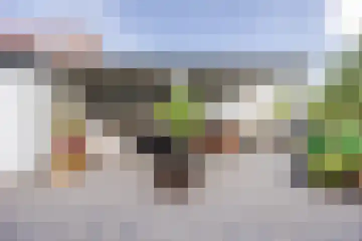 Hulsterweg 33 Kloosterzande thumbnail 21