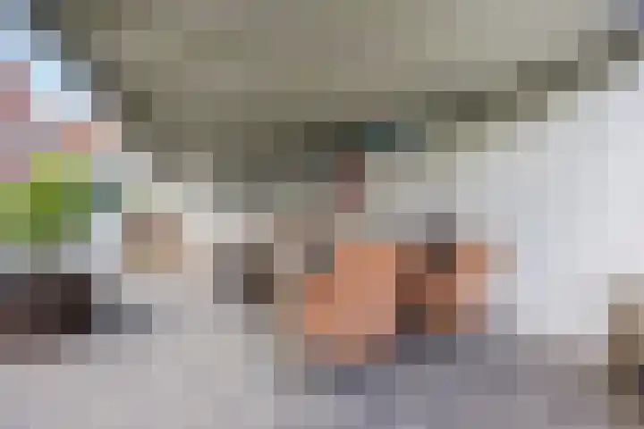 Hulsterweg 33 Kloosterzande thumbnail 22