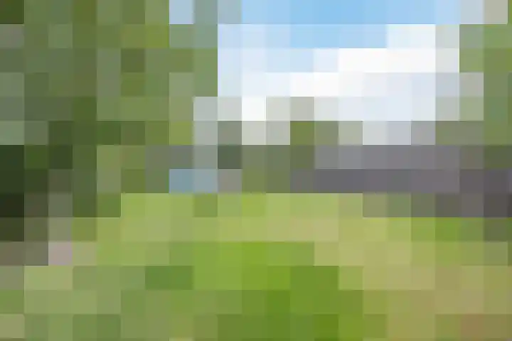 Hulsterweg 33 Kloosterzande thumbnail 23
