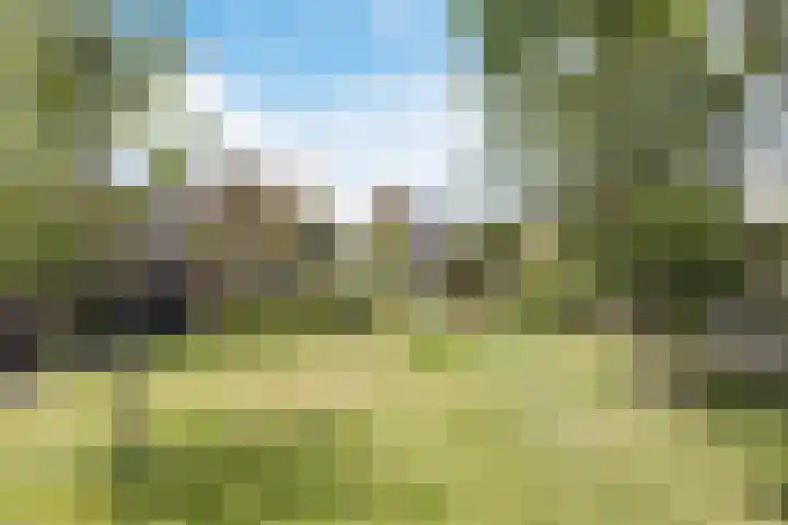 Hulsterweg 33 Kloosterzande thumbnail 24