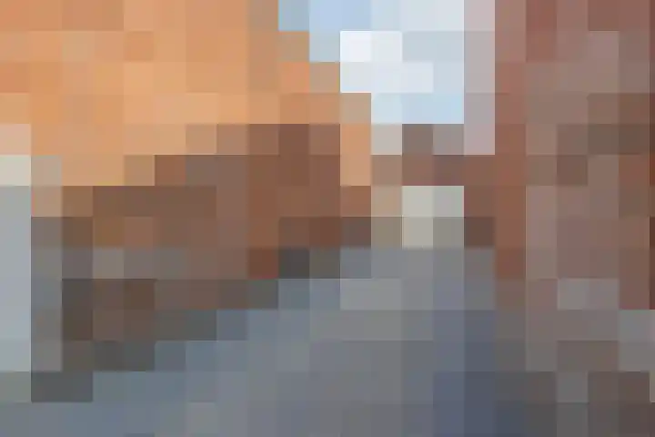 Hulsterweg 33 Kloosterzande thumbnail 25