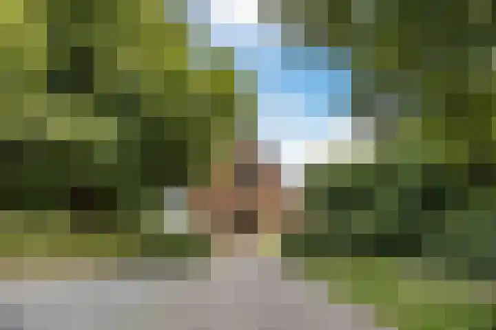 Hulsterweg 33 Kloosterzande thumbnail 28