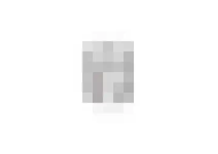 Hulsterweg 33 Kloosterzande thumbnail 32