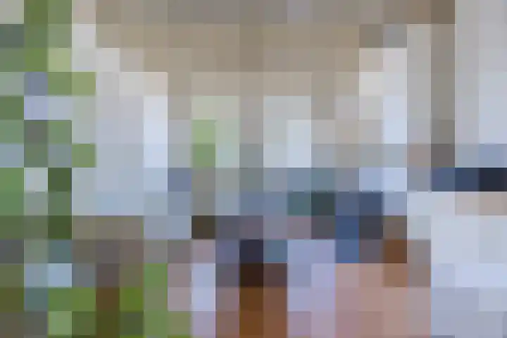 Hulsterweg 33 Kloosterzande thumbnail 6