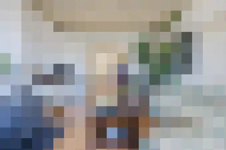 Hulsterweg 33 Kloosterzande thumbnail 7