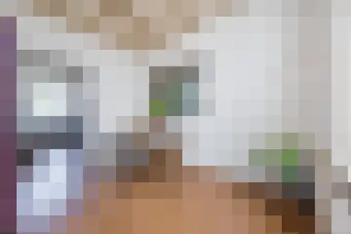 Hulsterweg 33 Kloosterzande thumbnail 8