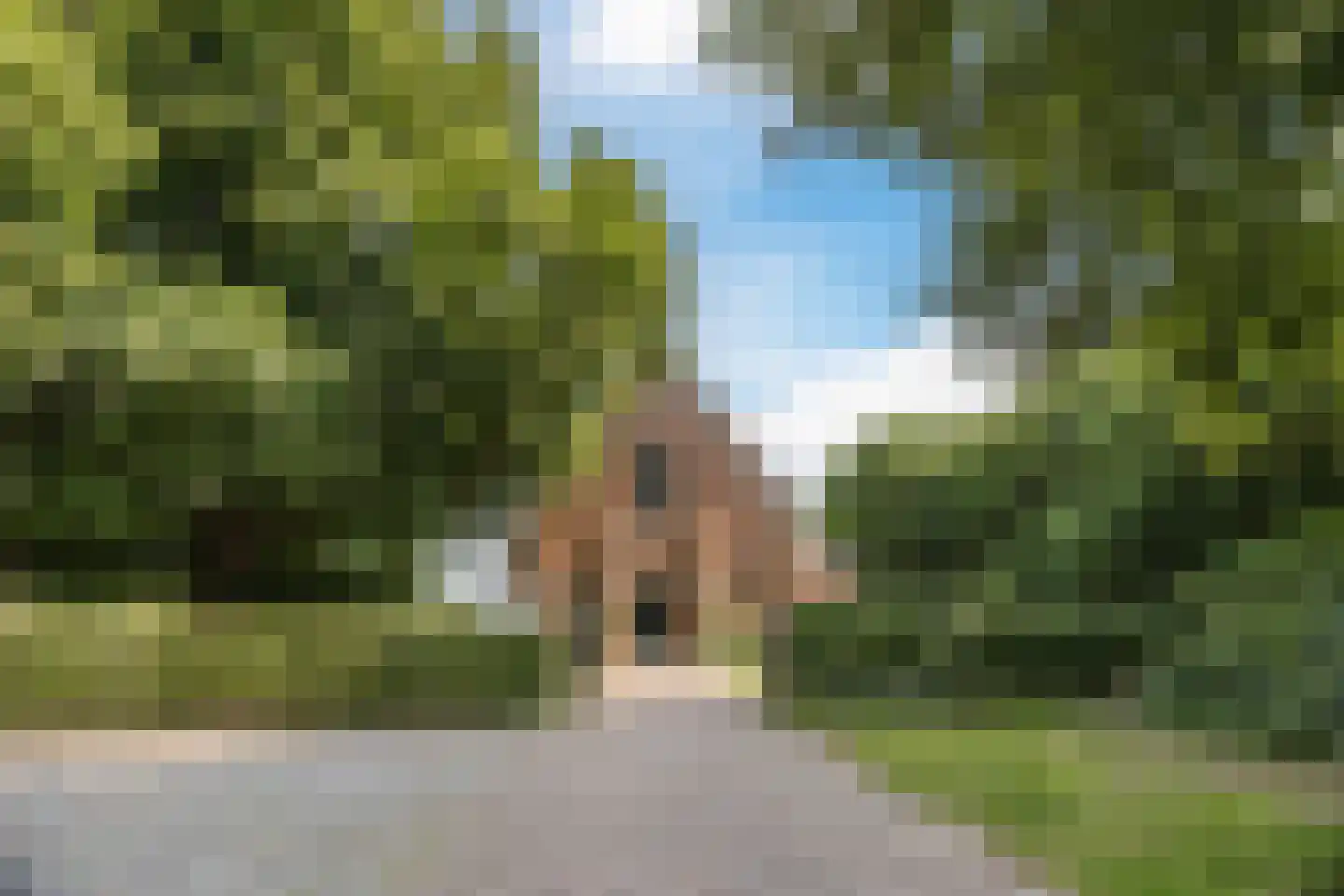 Hulsterweg 38 a Kloosterzande thumbnail 40