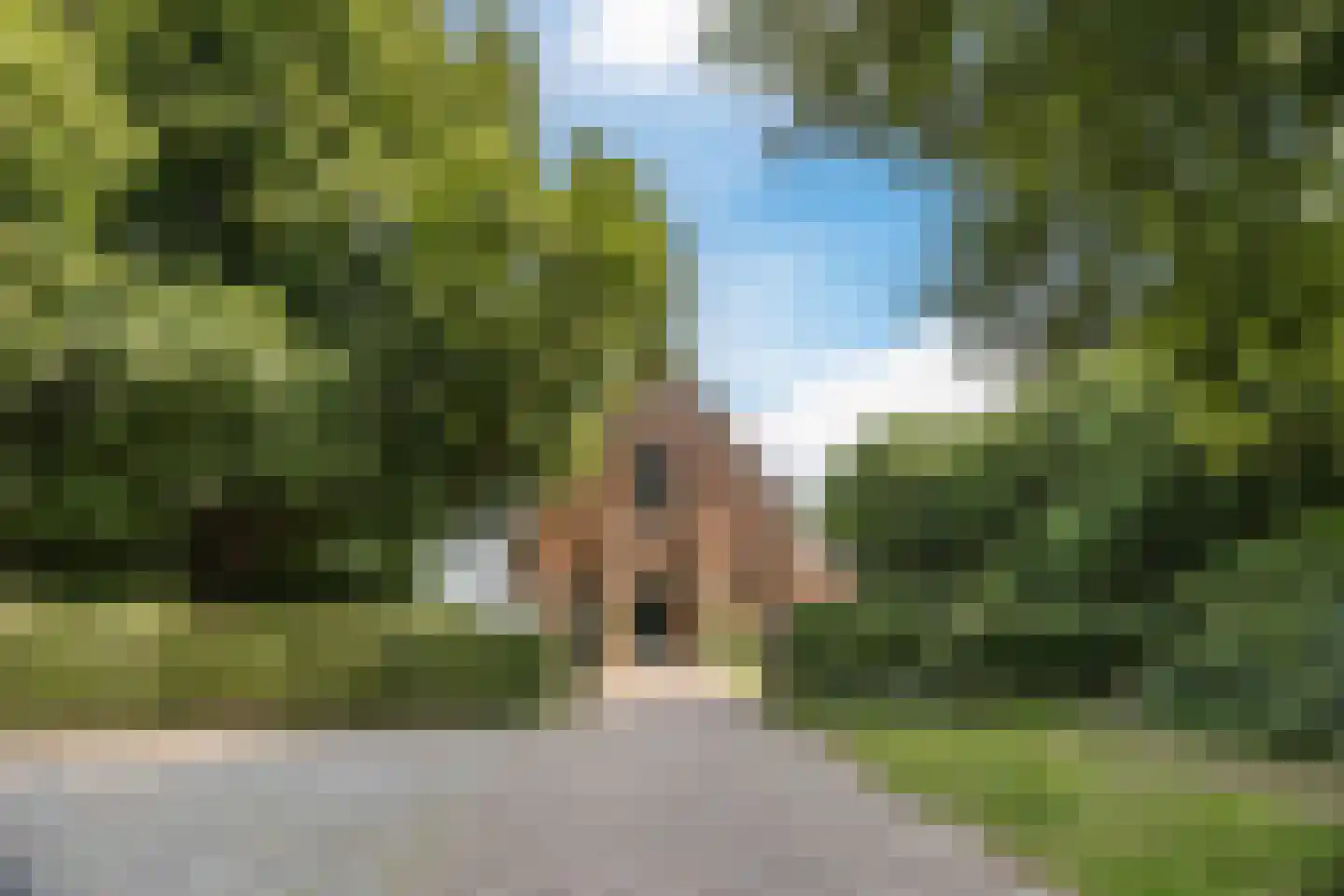 Hulsterweg 38 a Kloosterzande thumbnail 41