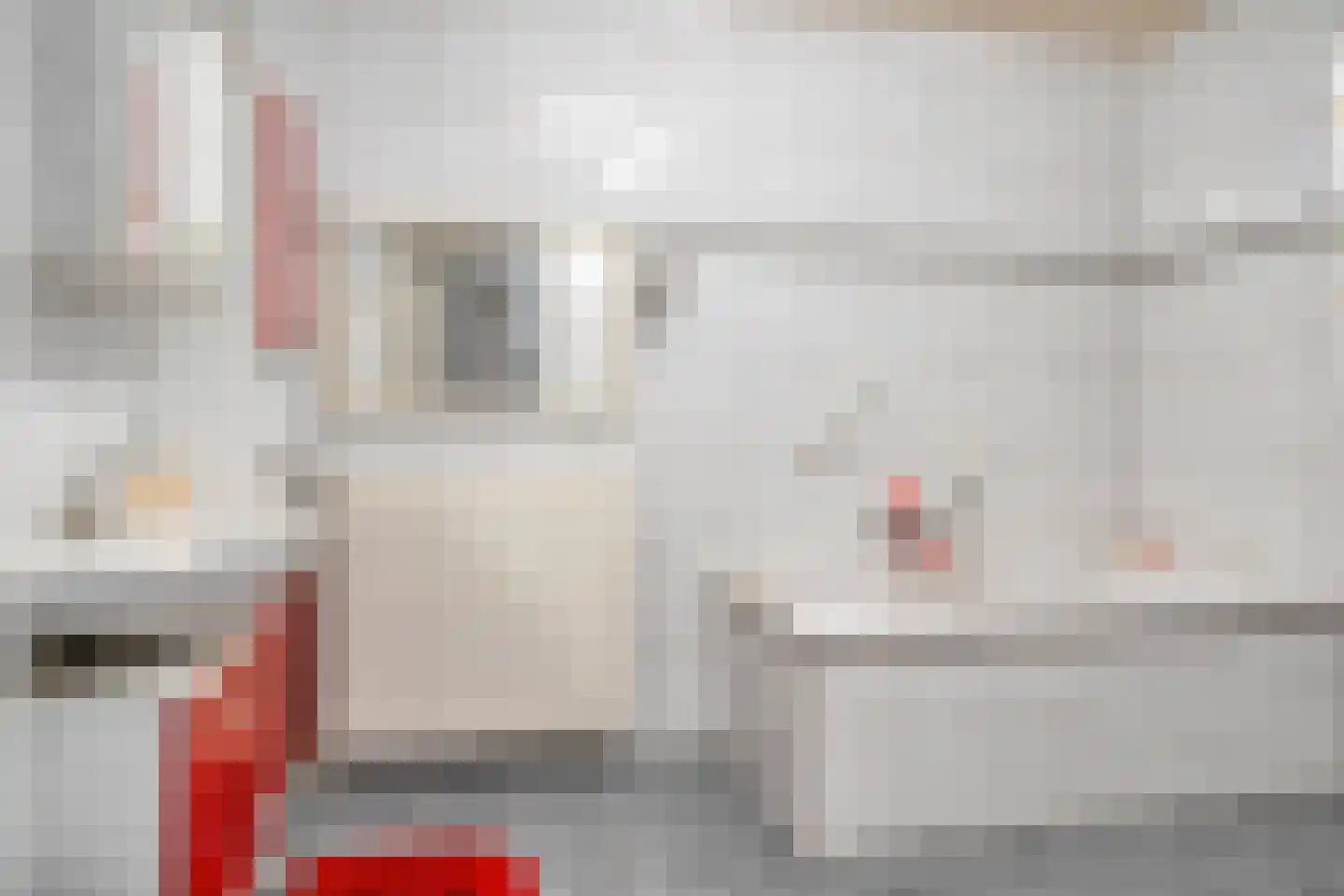 Hulsterweg 38 g Kloosterzande thumbnail 24