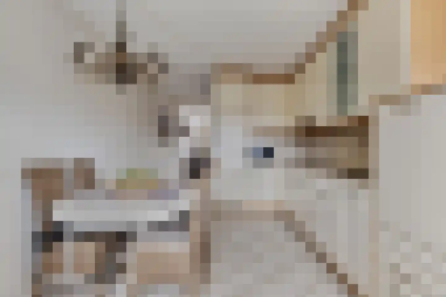 Hulsterweg 38 h Kloosterzande thumbnail 17