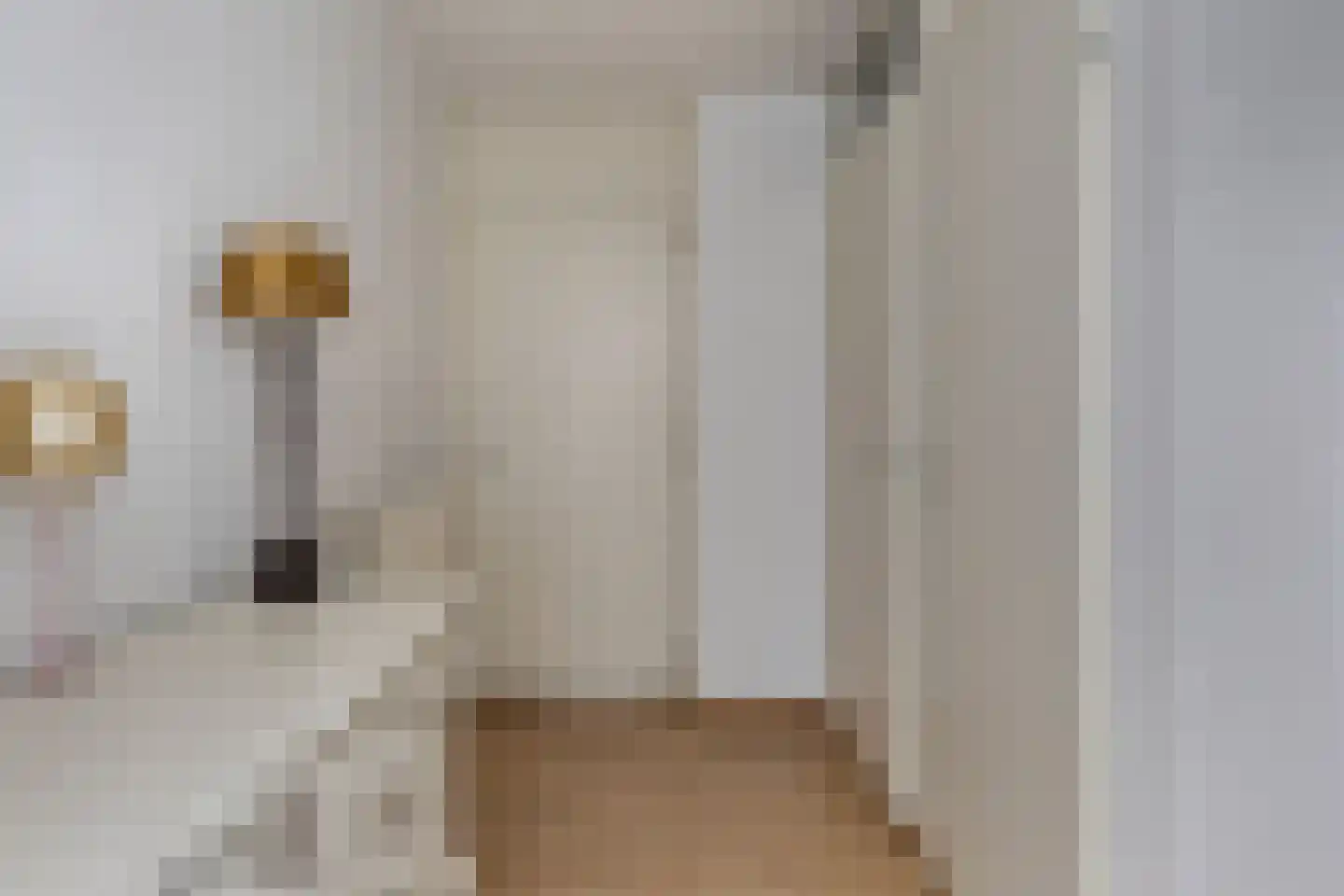 Hulsterweg 38 h Kloosterzande thumbnail 7