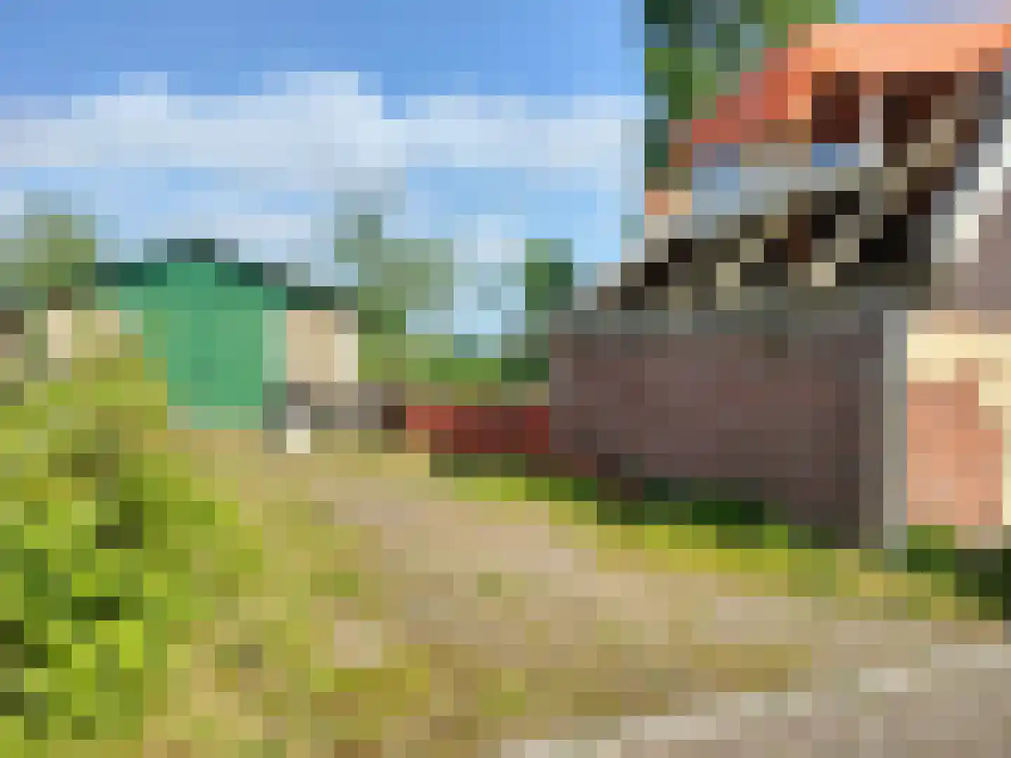 Hulsterweg 50 Kuitaart thumbnail 13