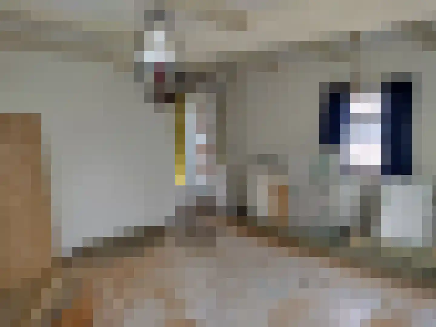 Hulsterweg 50 Kuitaart thumbnail 8