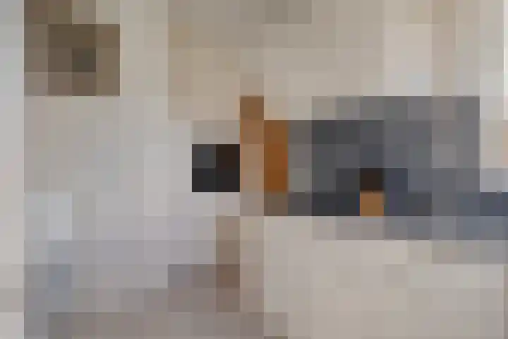 Hulsterweg 6 d Kloosterzande thumbnail 16