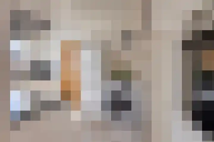 Hulsterweg 6 d Kloosterzande thumbnail 18