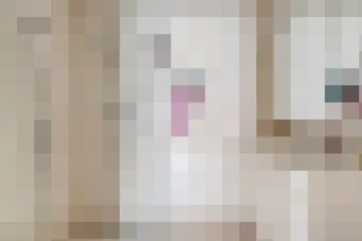 Hulsterweg 6 d Kloosterzande thumbnail 20