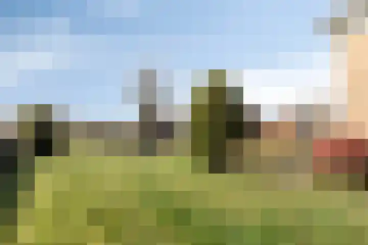 Hulsterweg 6 d Kloosterzande thumbnail 26