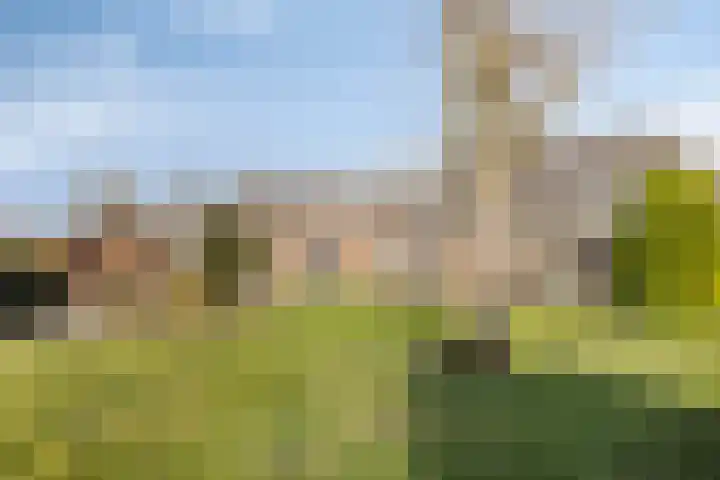 Hulsterweg 6 d Kloosterzande thumbnail 28