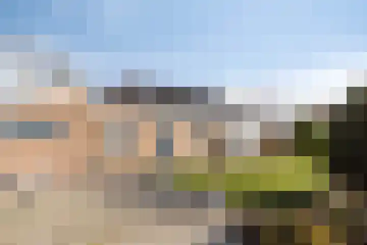 Hulsterweg 6 d Kloosterzande thumbnail 31