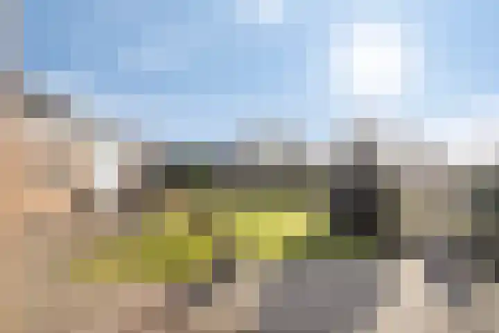 Hulsterweg 6 d Kloosterzande thumbnail 32