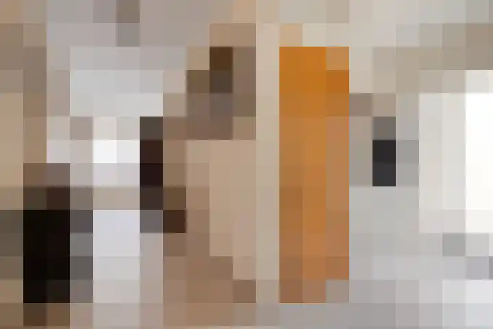 Hulsterweg 6 d Kloosterzande thumbnail 9