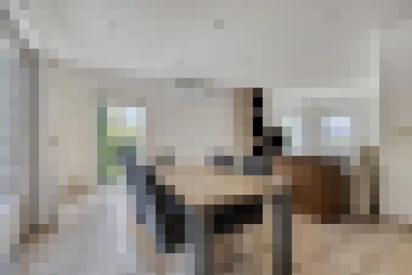 Hulsterweg 75 d Kloosterzande thumbnail 10