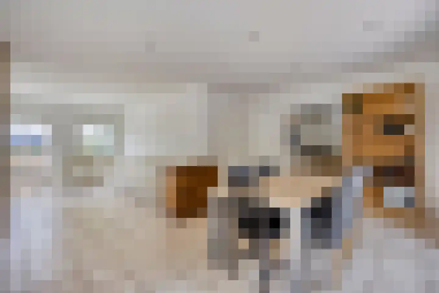Hulsterweg 75 d Kloosterzande thumbnail 11
