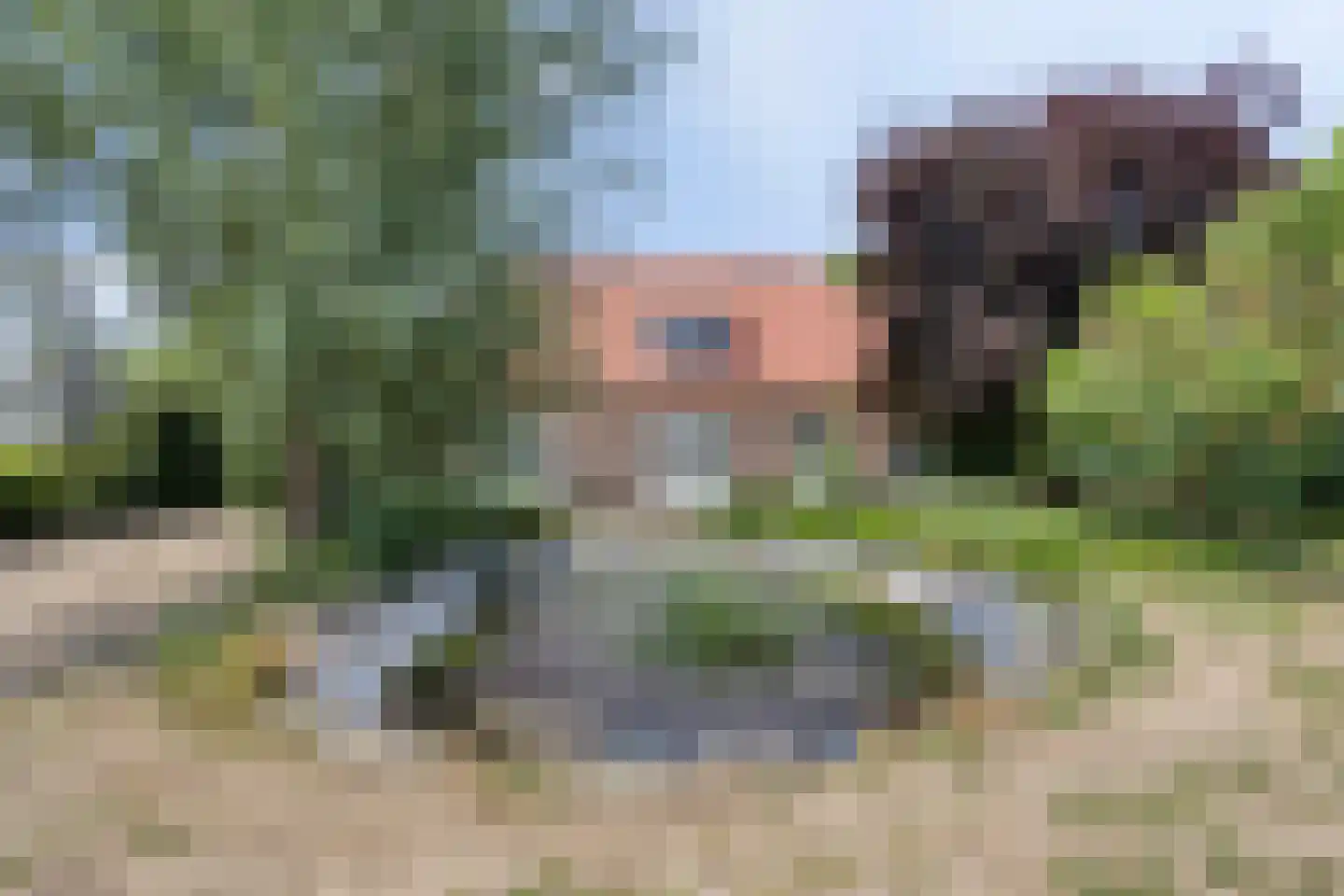 Hulsterweg 75 d Kloosterzande thumbnail 29