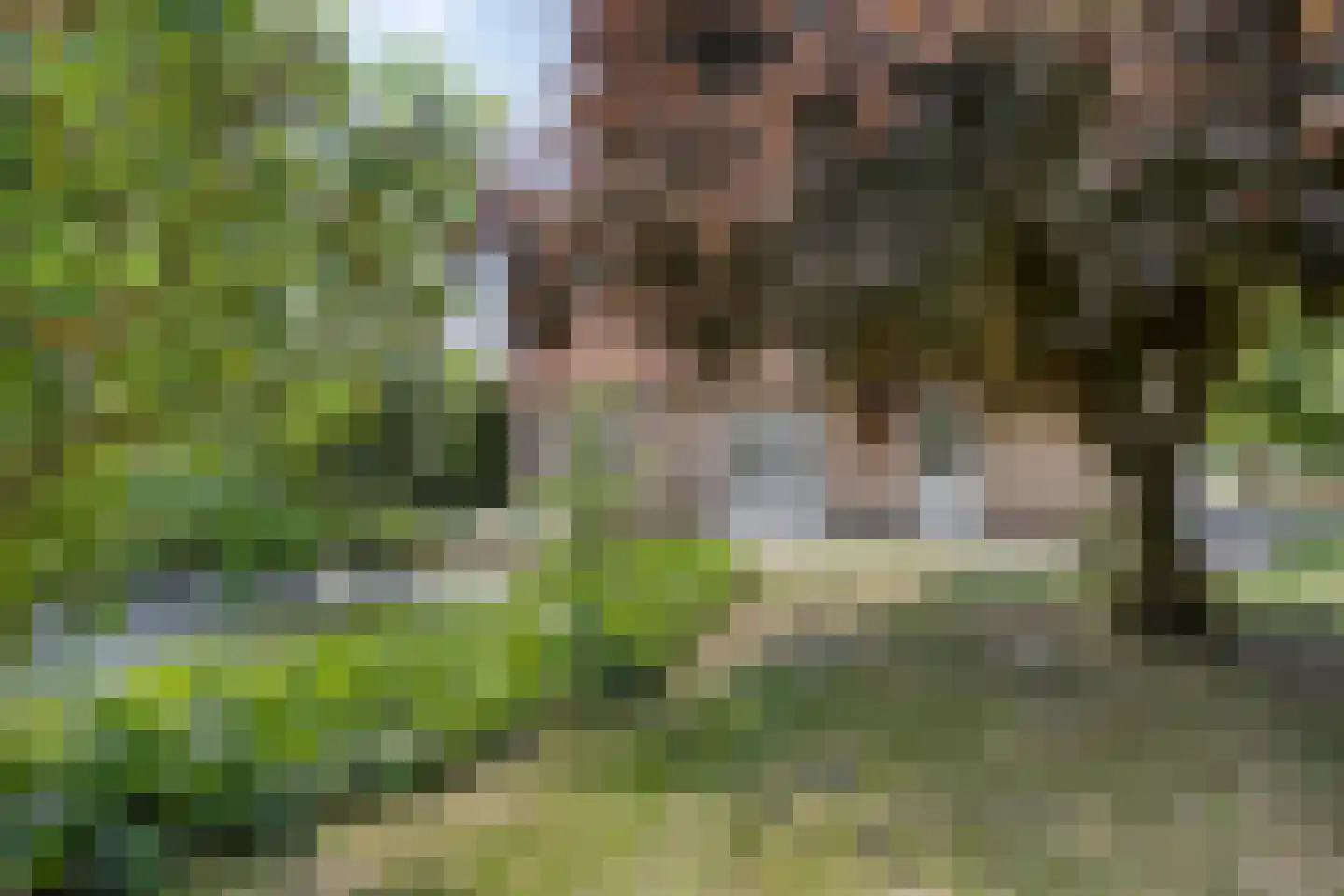 Hulsterweg 75 d Kloosterzande thumbnail 4