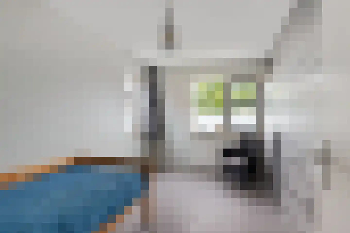 Hulsthage 13 Assen thumbnail 23