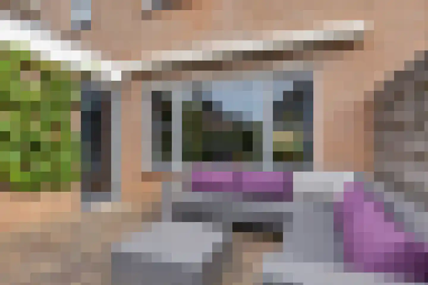 Hulsthage 13 Assen thumbnail 35