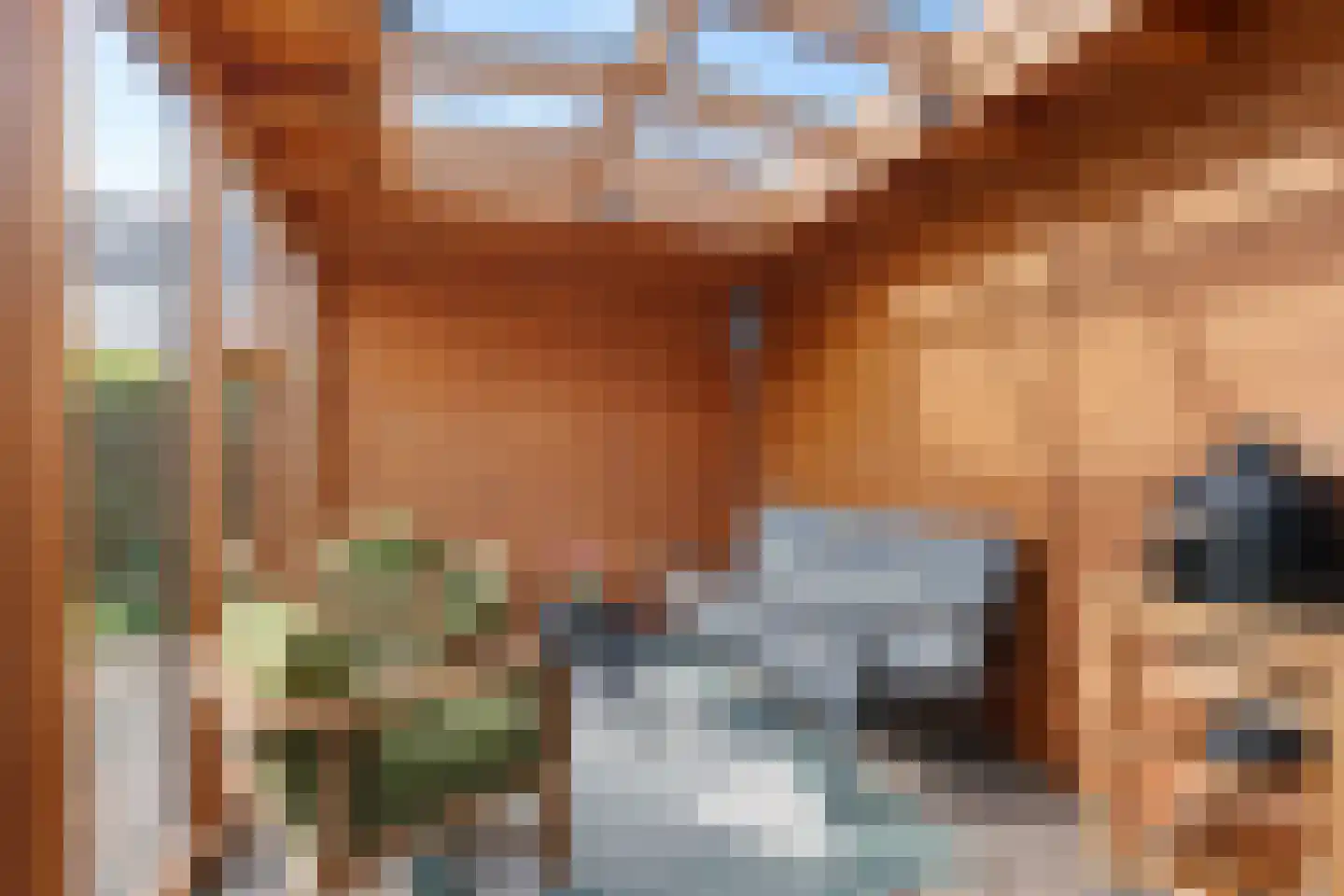 Hulsthage 13 Assen thumbnail 38