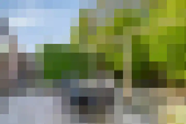 Hulsthage 34 Assen thumbnail 17