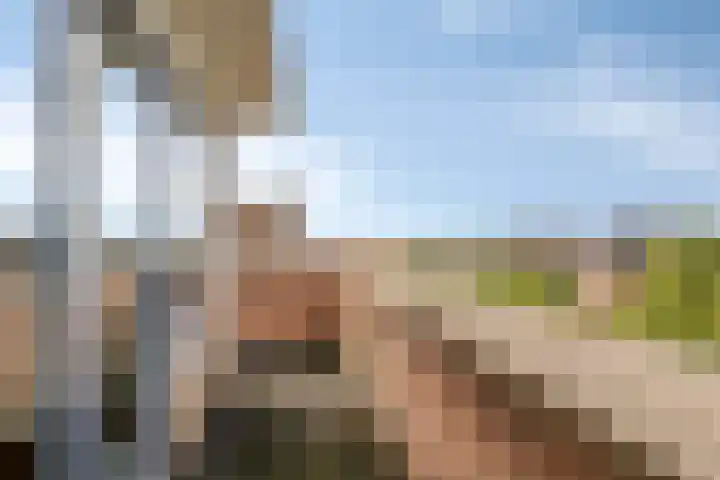Hulsthage 34 Assen thumbnail 33
