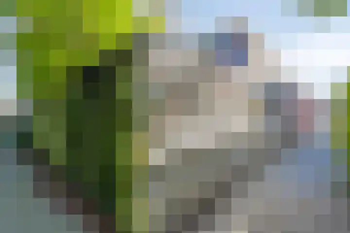 Hulsthage 34 Assen thumbnail 35